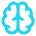brain-icon